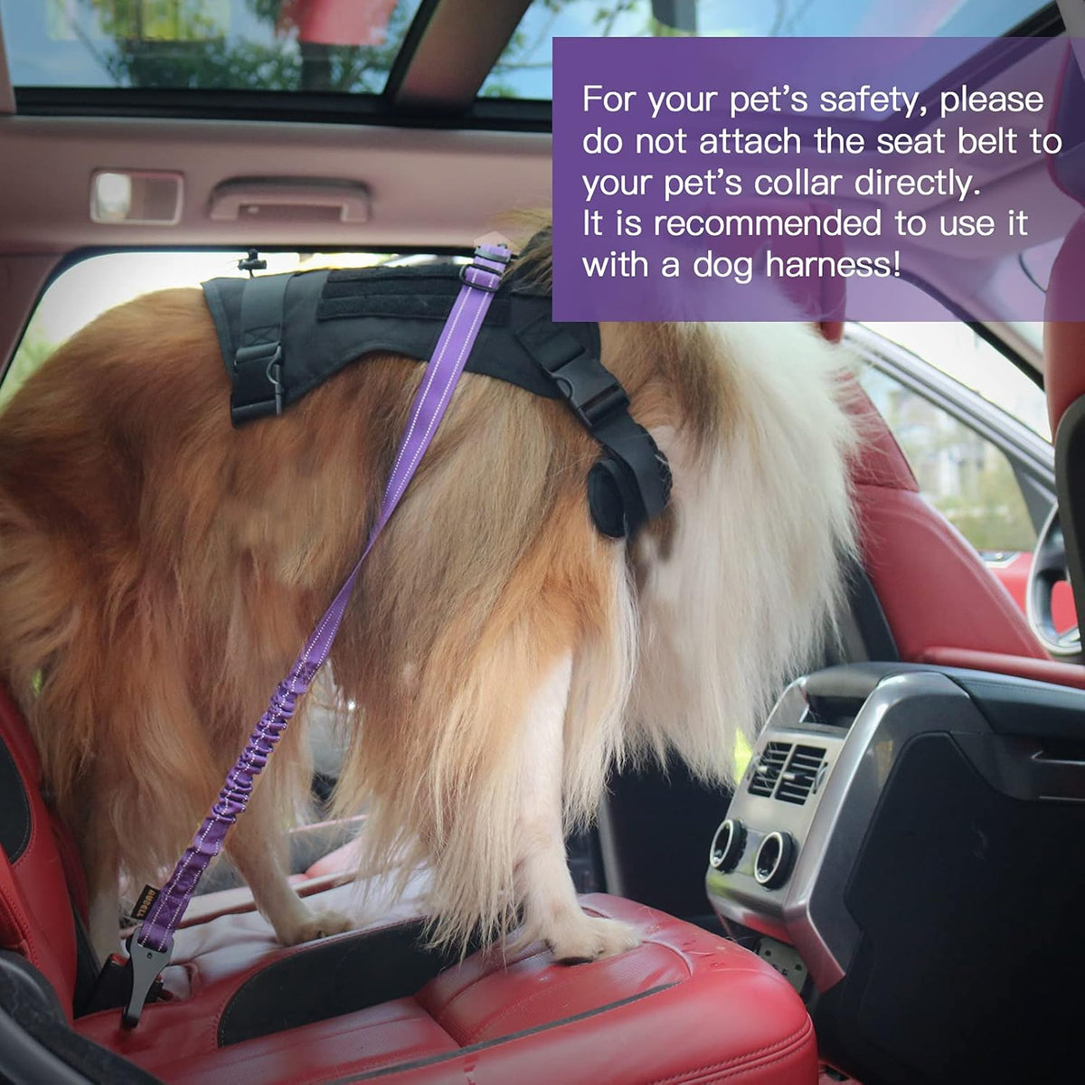 Dog Car Seat Belt Tether — Reflective Bungee, 2 Pack, image 8 of 9