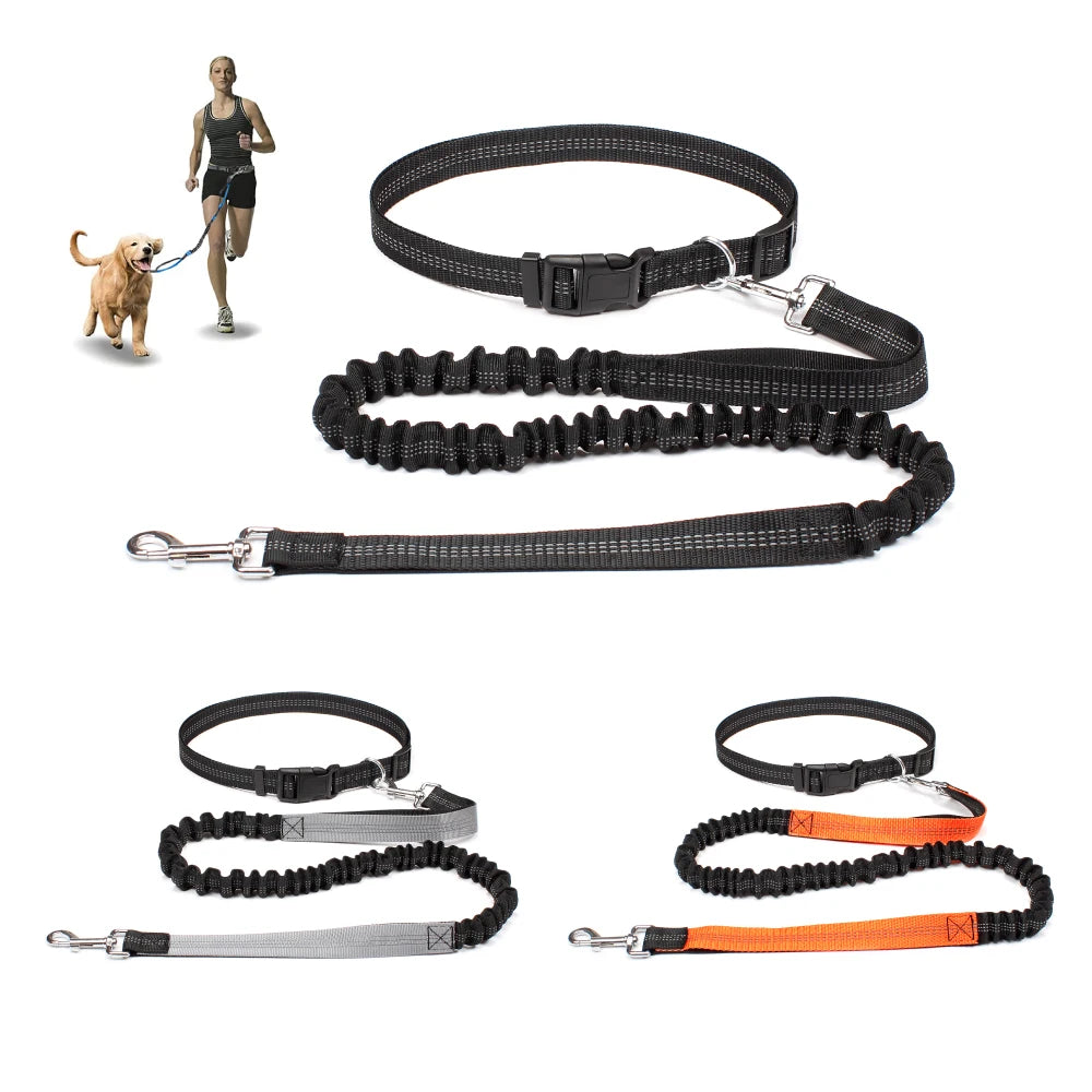 Hands-Free Running Waist Leash with Bungee Lead, image 2 of 9