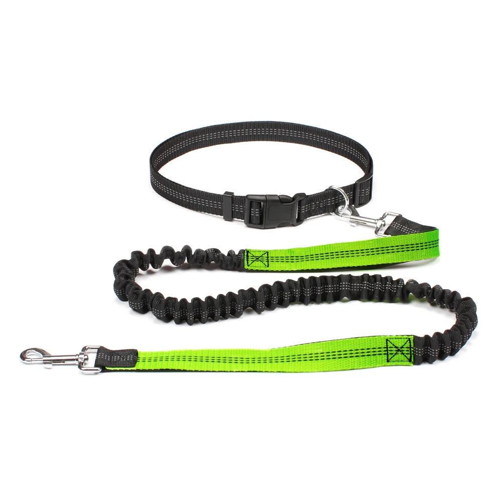Hands-Free Running Waist Leash with Bungee Lead