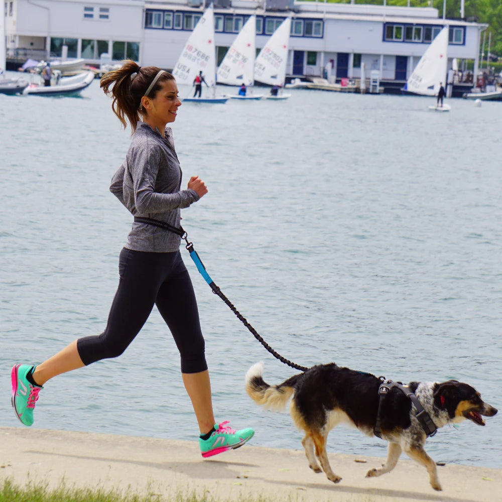 Hands-Free Running Waist Leash with Bungee Lead, image 6 of 9