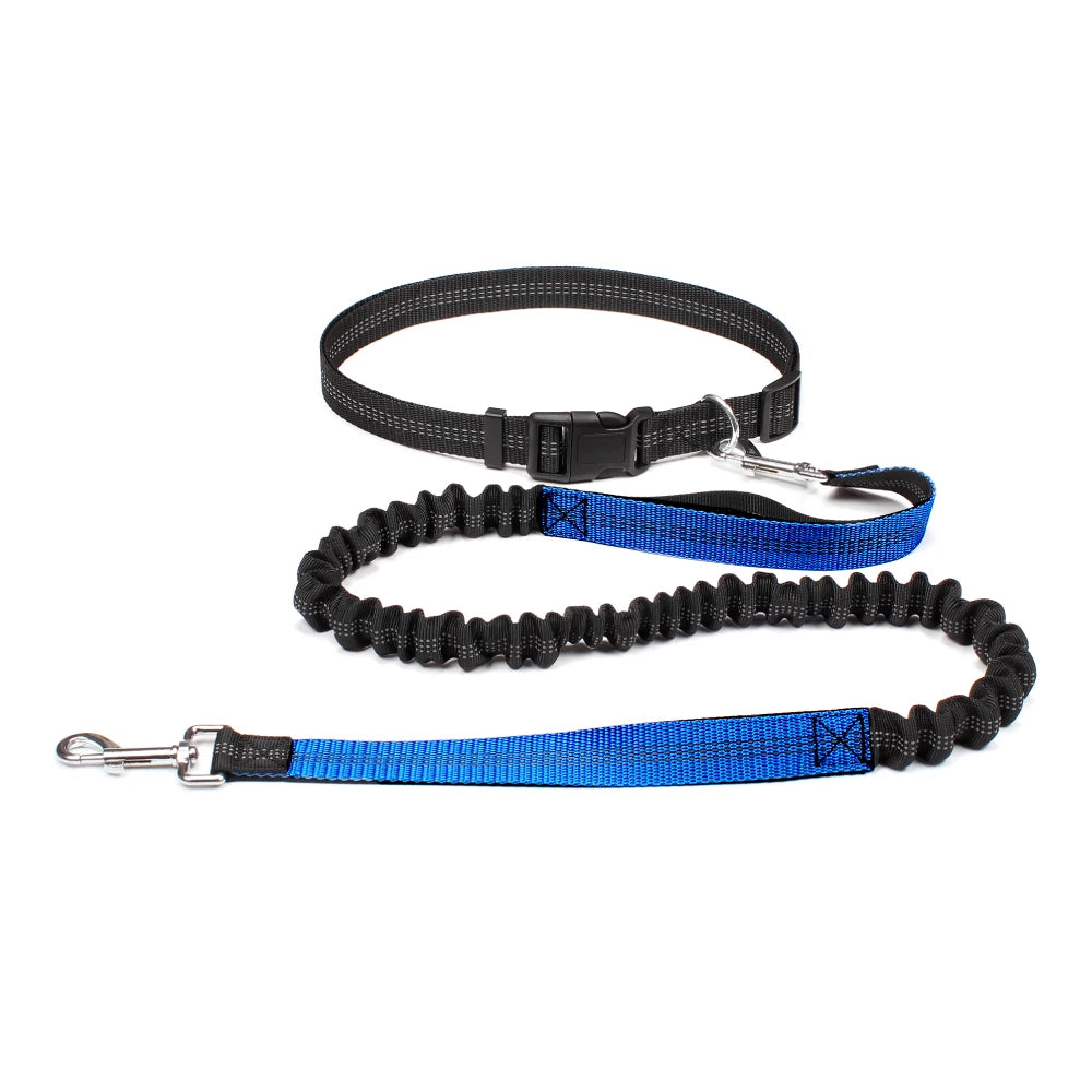 Hands-Free Running Waist Leash with Bungee Lead