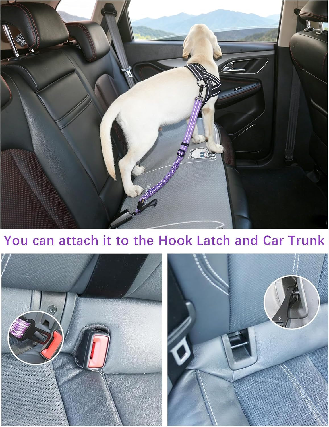Dog Car Seat Belt Tether — Reflective Bungee, 2 Pack, image 3 of 9