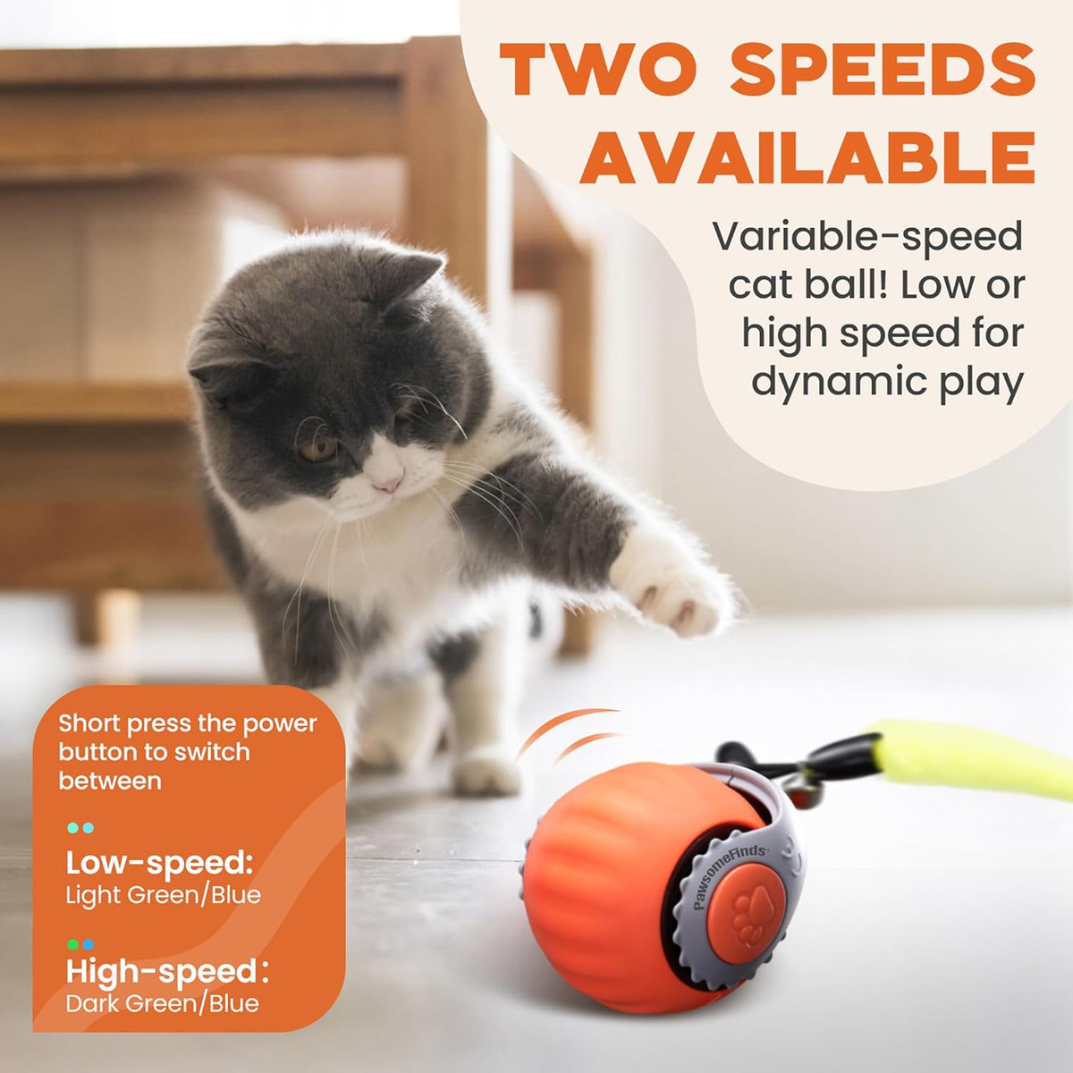 Motion-Activated Cat Ball with Teaser Tail