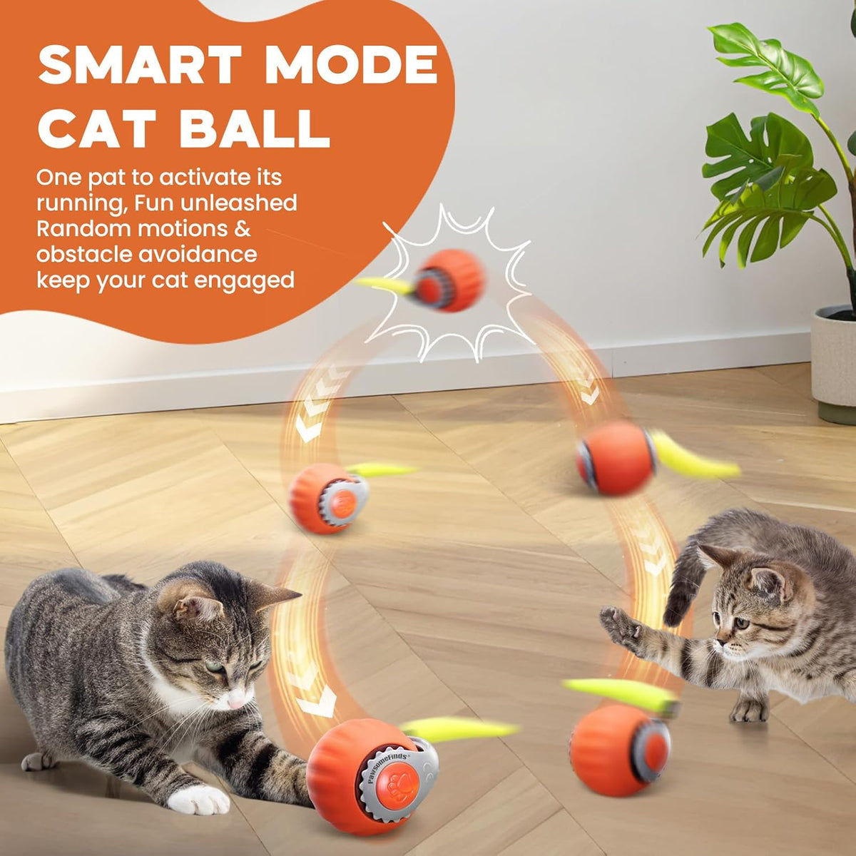 Motion-Activated Cat Ball with Teaser Tail
