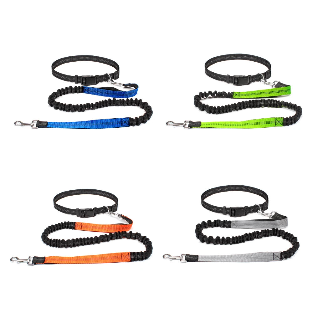 Hands-Free Running Waist Leash with Bungee Lead, image 3 of 9