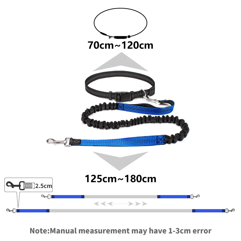 Hands-Free Running Waist Leash with Bungee Lead, image 7 of 9