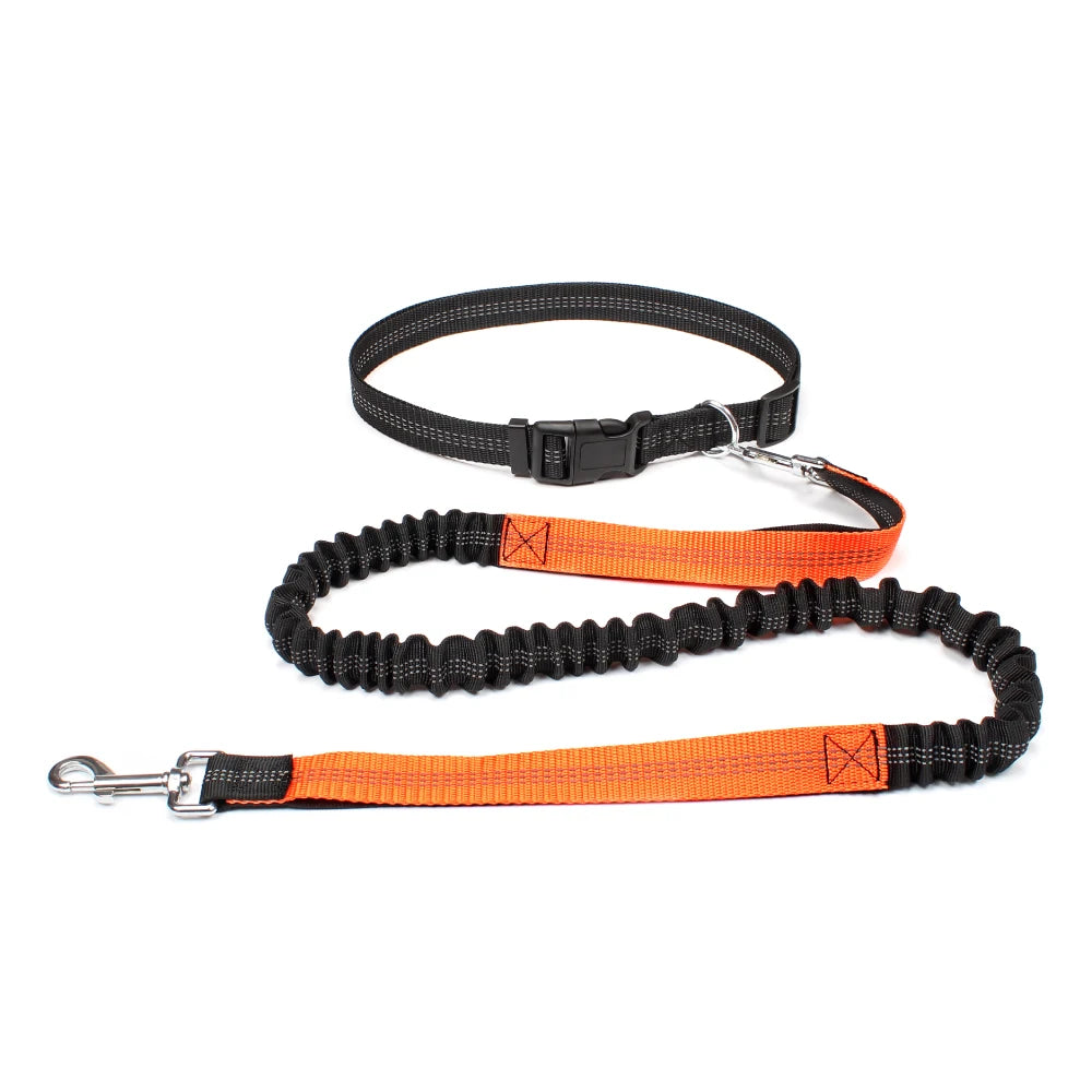 Hands-Free Running Waist Leash with Bungee Lead