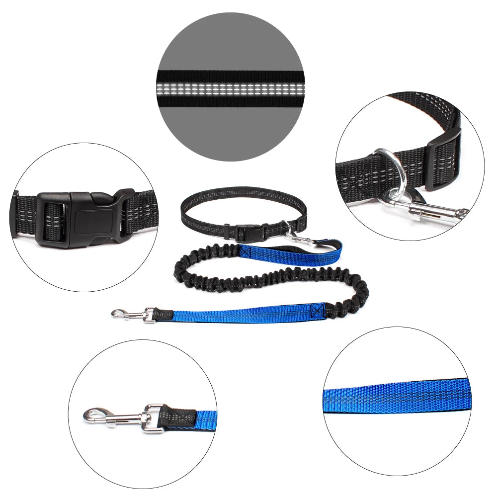 Hands-Free Running Waist Leash with Bungee Lead, image 4 of 9